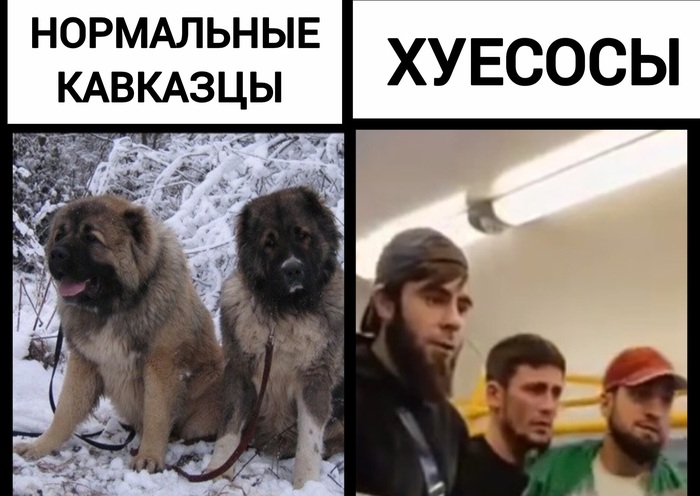     , , ,  , ,  , , , , 