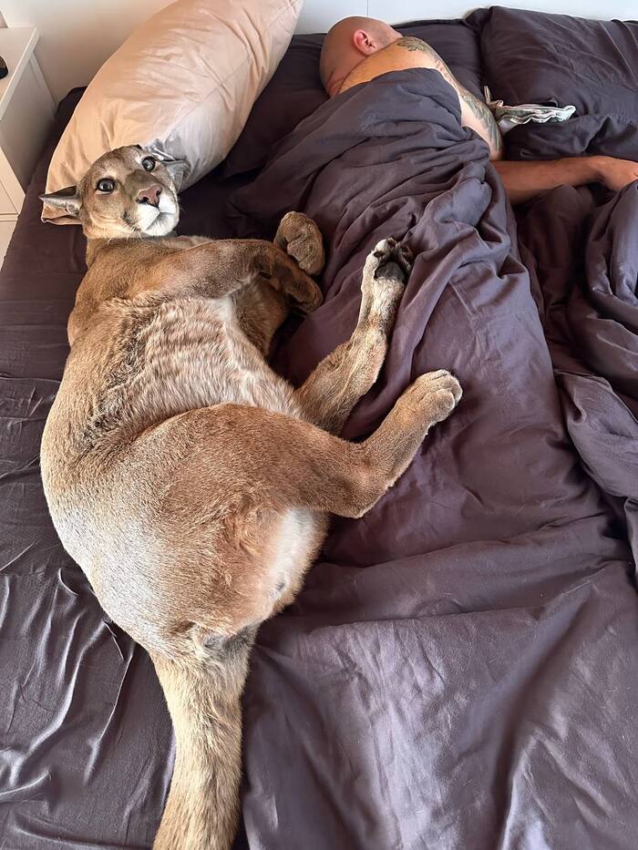    -  ?  ,  ,  , , , 