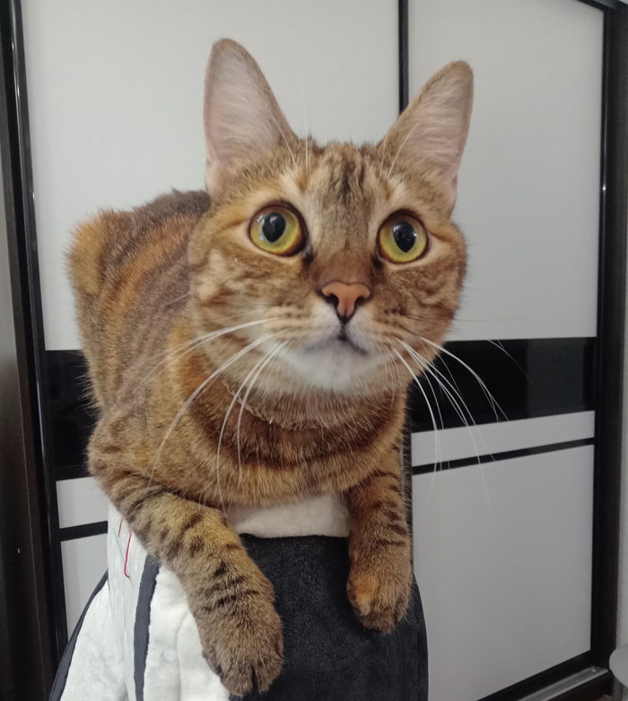 ��� ���� ����� ��������� ������������ �������� ������.