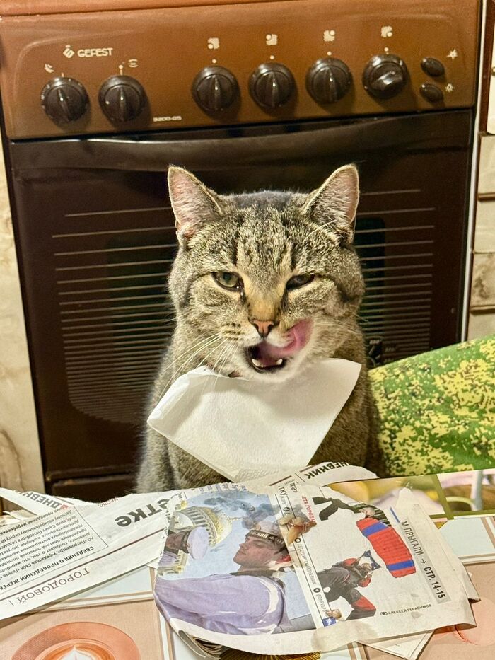       , , , , 