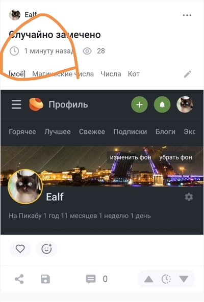 ����������� � �����������