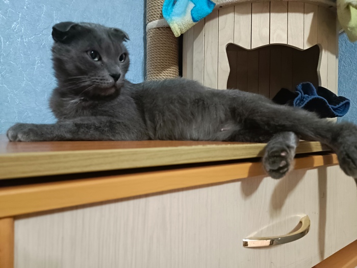 Вот она в первый день у нас