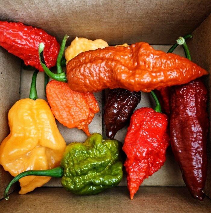 Сегодня мне отправили тайную посылку