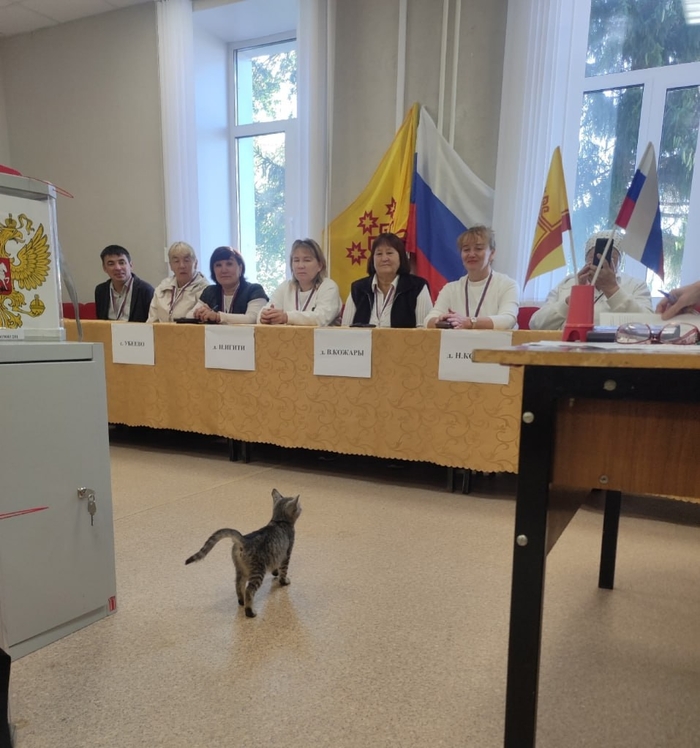 Избиратель пришел