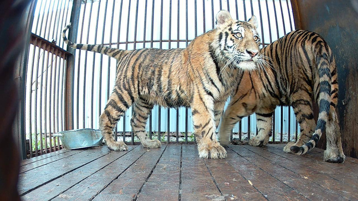  2025:   ,    2025,  ,    2024