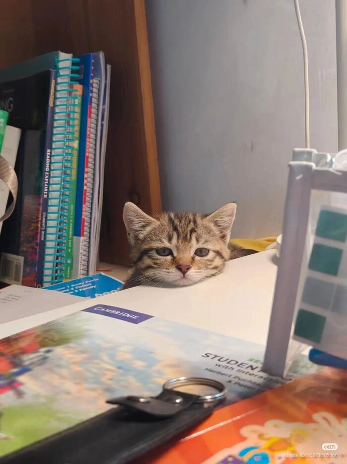  , , 
