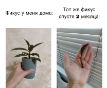 ���� ��� ��������