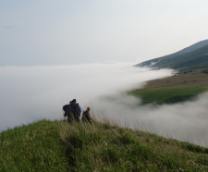 ������, ������