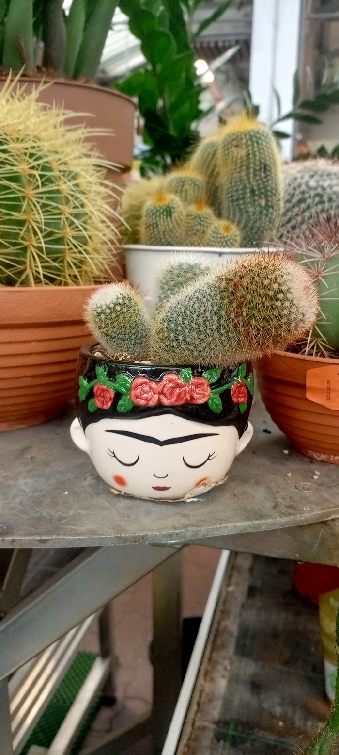 Фрида в Оби