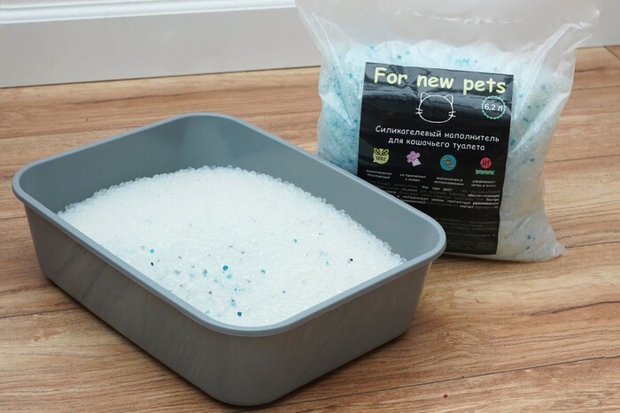     :          .     2025 