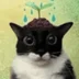 user11154506