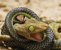 ��������������