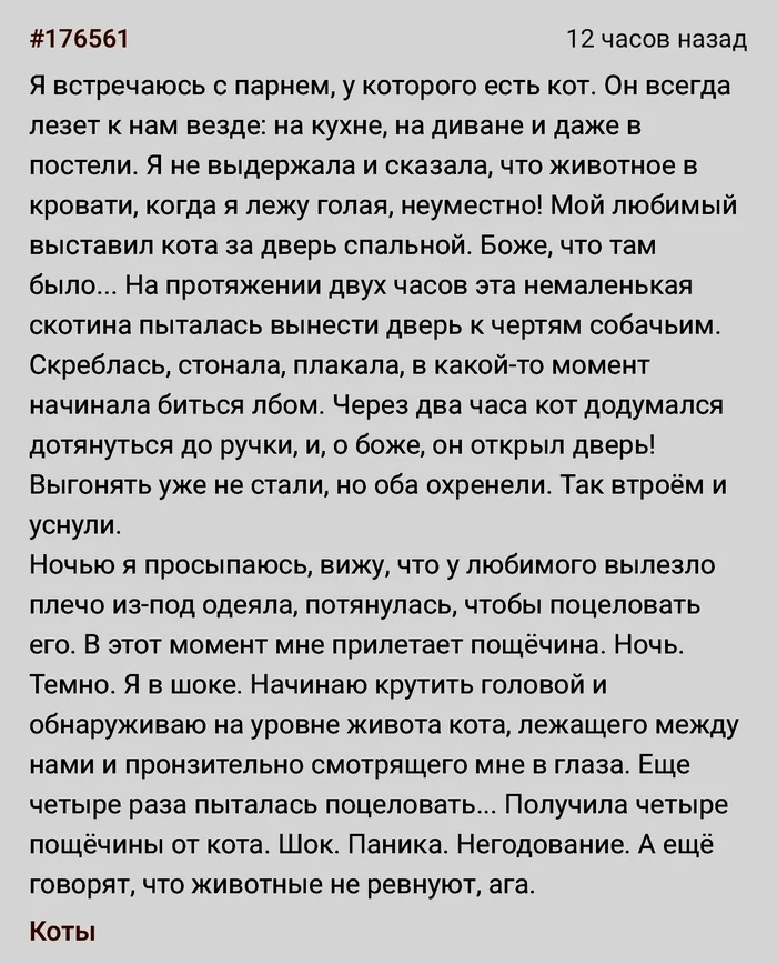 Ответ на пост «Сердитый кот»