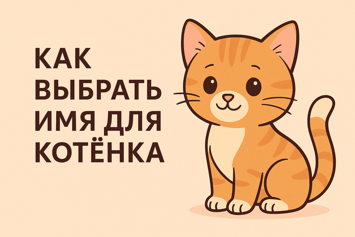     :       , , , , 