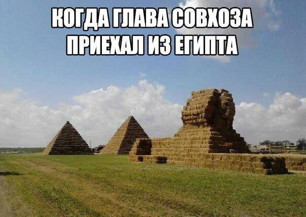 3plci3sm.webp