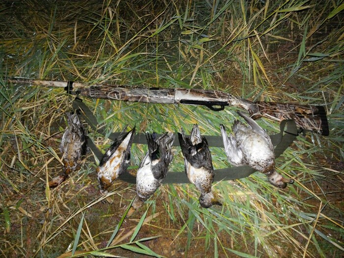 Иногда за всё время охоты лишь один раз представляется возможность увидеть дичь. Полуавтоматическое ружьё в этом случае даёт дополнительные шансы на добычу. Целых 5+1 шансов. По количеству снаряженных патронов.