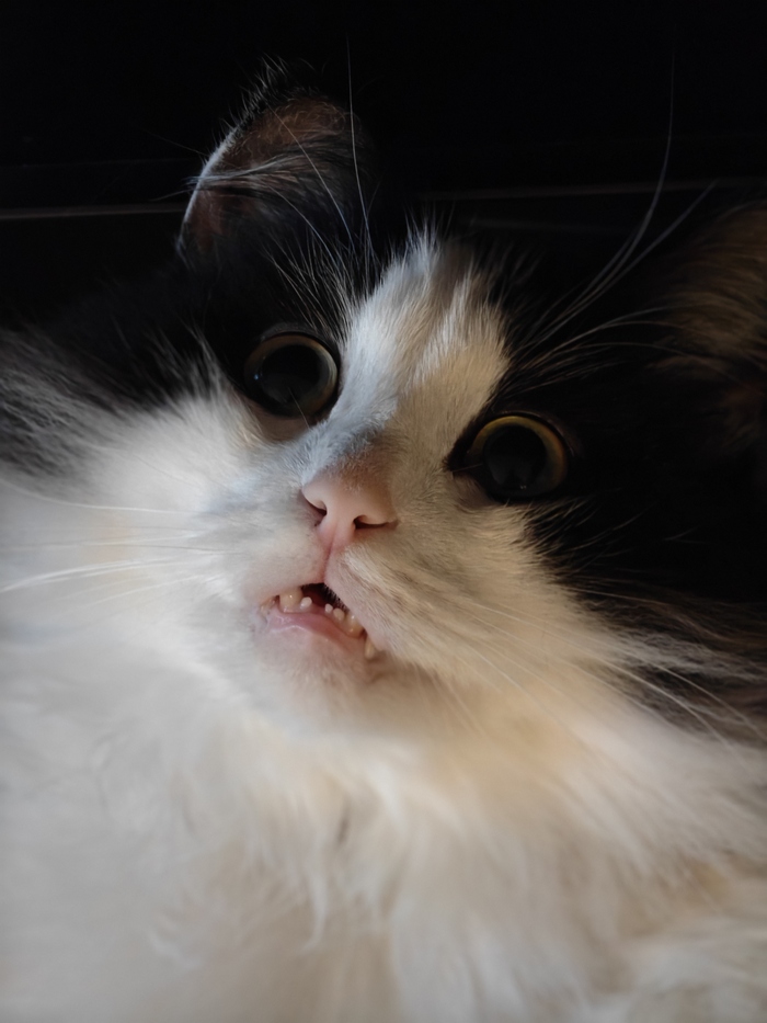 !    , , 