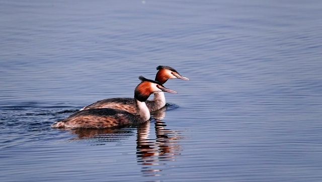 Любовь - это не смотреть друг на друга, а смотреть в одном направлении.