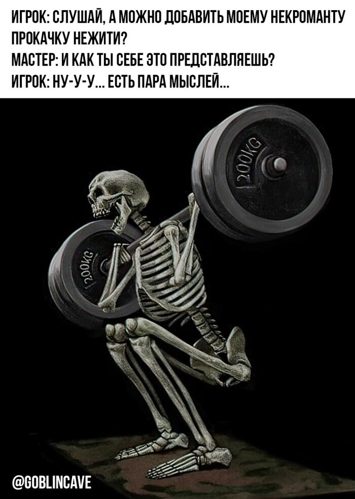 Boss of the gym ()