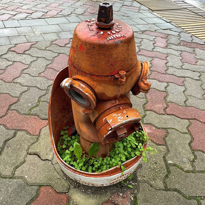 Немецкий гидрант в Калининграде