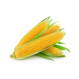 Аватар user11163209