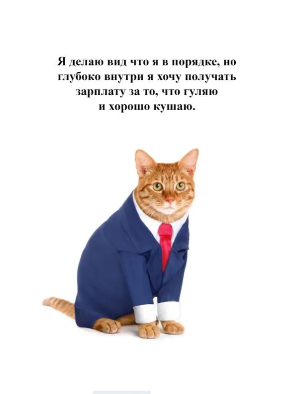 ,   ?
