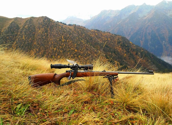  CZ 550 Lux,  .308