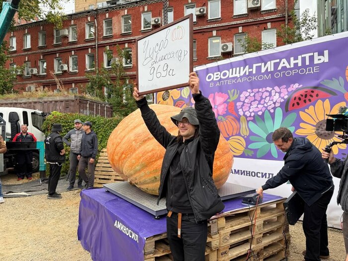 ����� �� ���� ��� ����������. ����� 969 ��