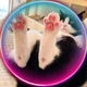 Аватар пользователя CockuKoma