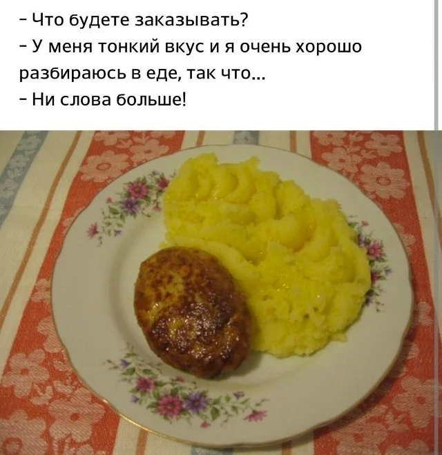 te5cic6a.webp