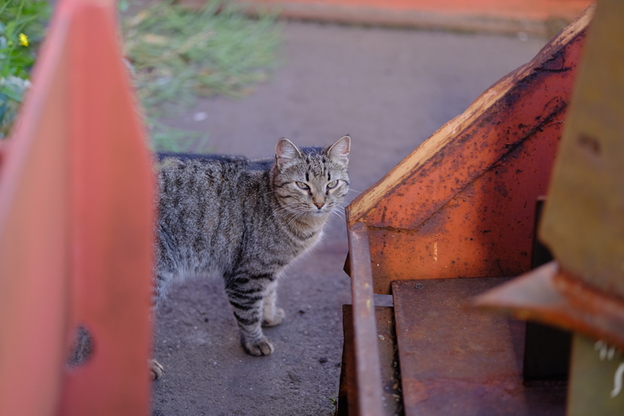 ������ ����� � ��������� ����������� ����������������� ������ ��� ��������� ������ �������� �� �������