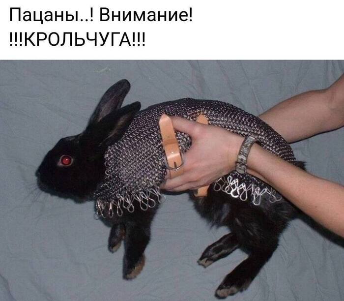КРОЛЬЧУГА