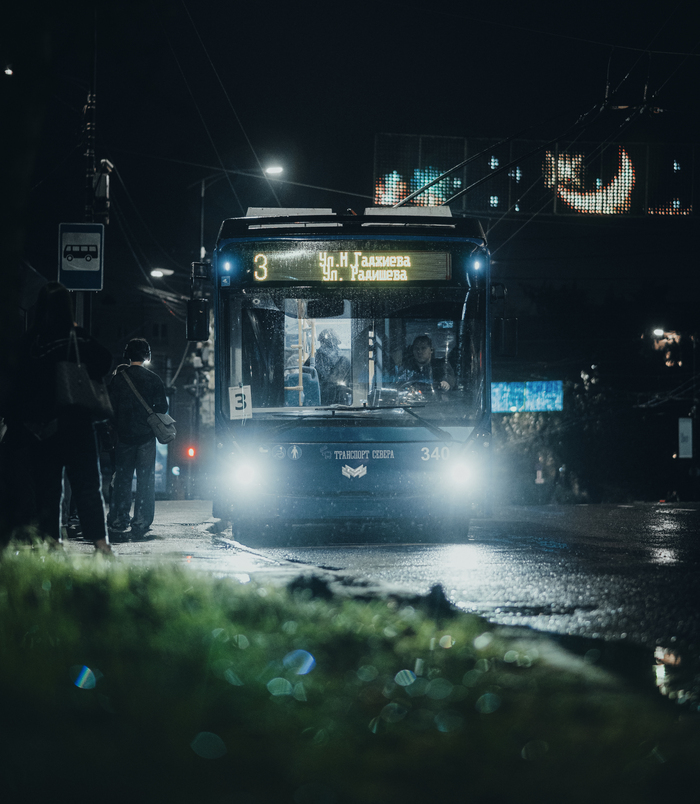 В ожидании троллейбуса #3