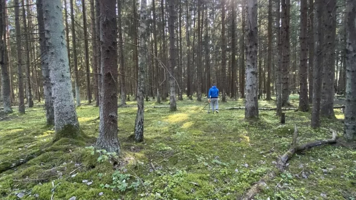 � �������� ��� ���� ������ ������ �������, ��� � ���� � ������ ������� � �� �����