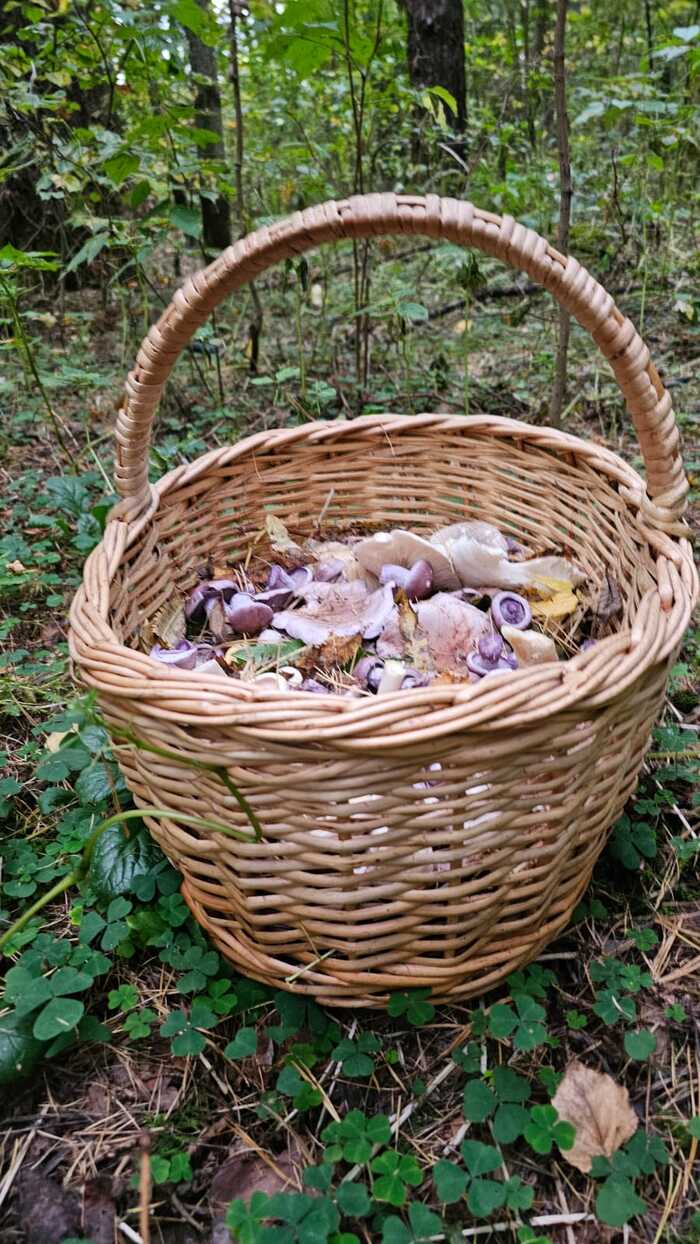 Стихотворение #2