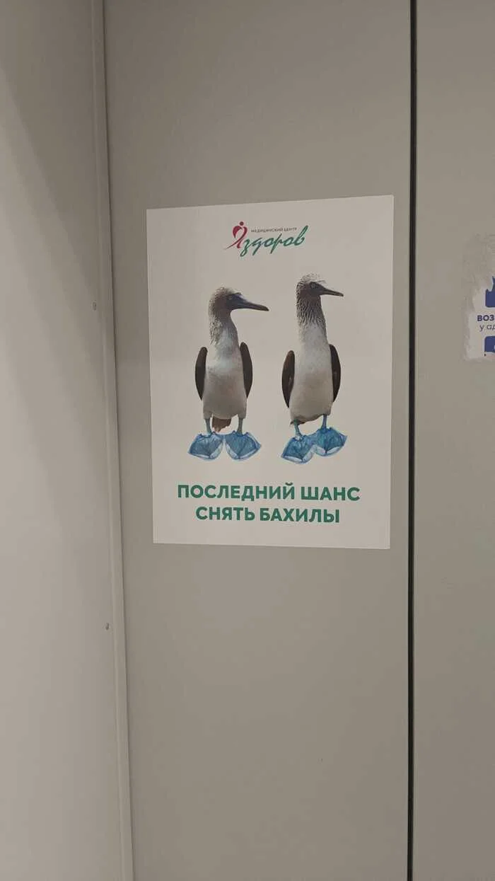 rijsitau.webp