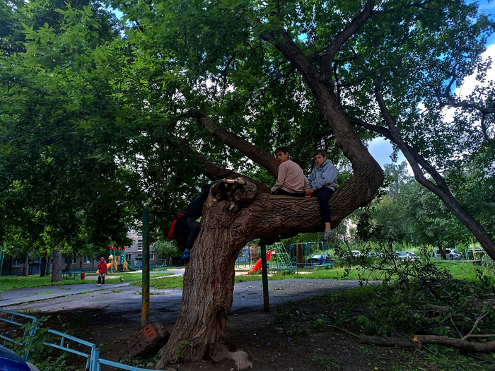 Детишки рядом