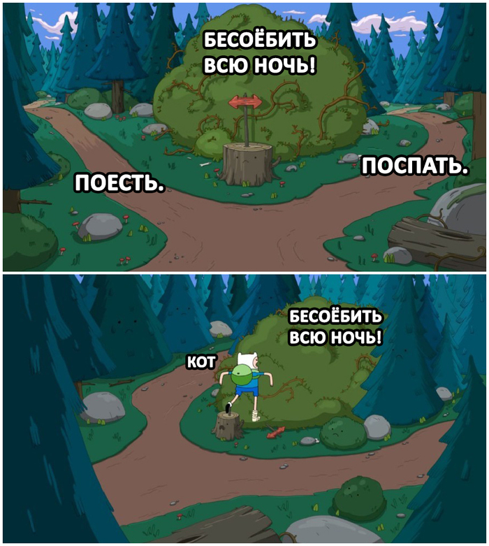 Кот