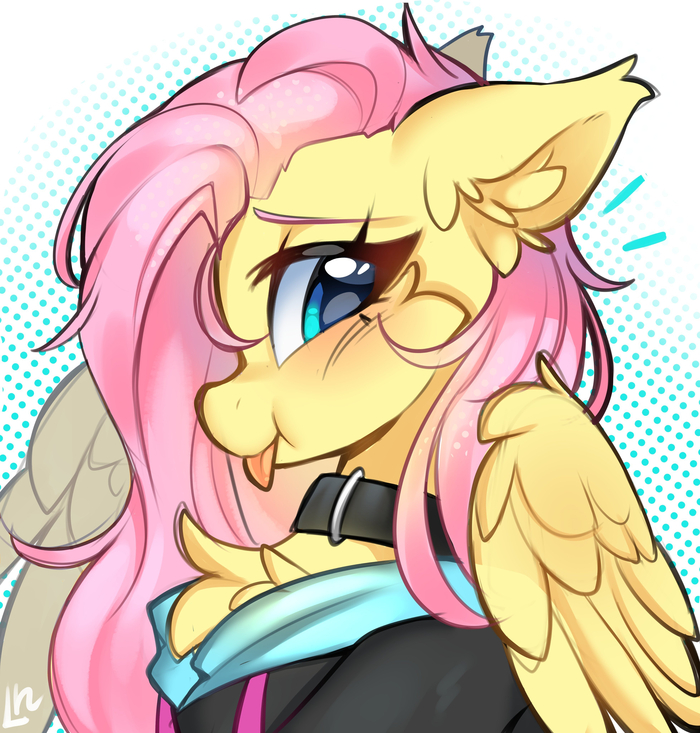 It’s Flutter time!