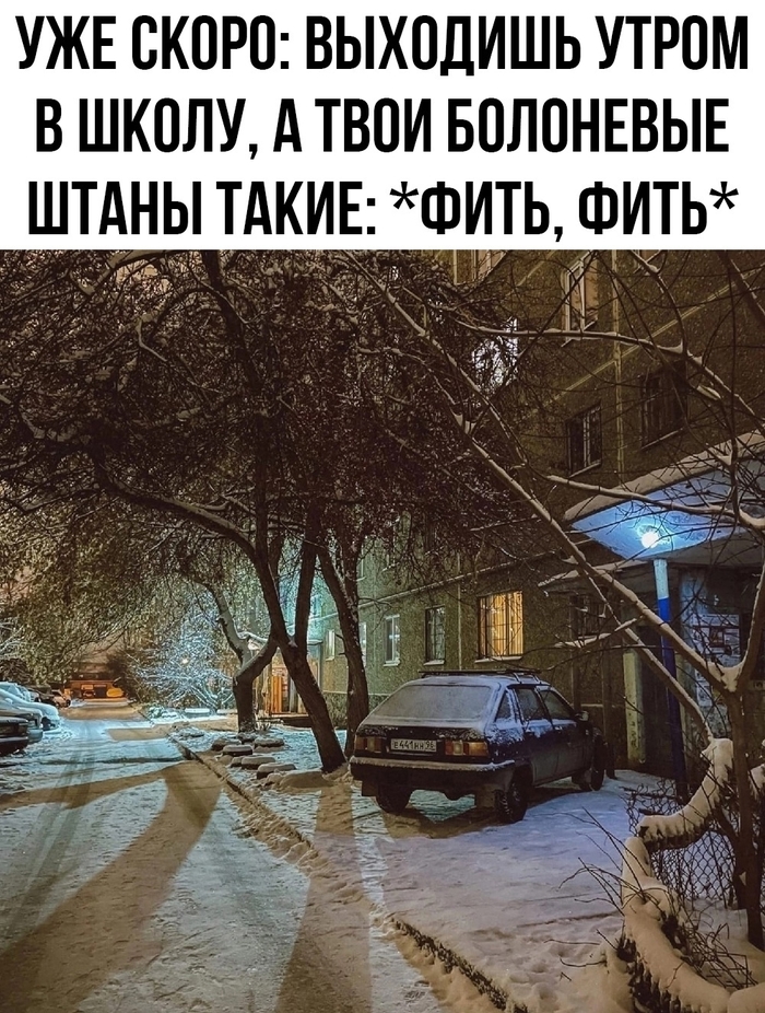 Зима близко и все эксперты на пикабу