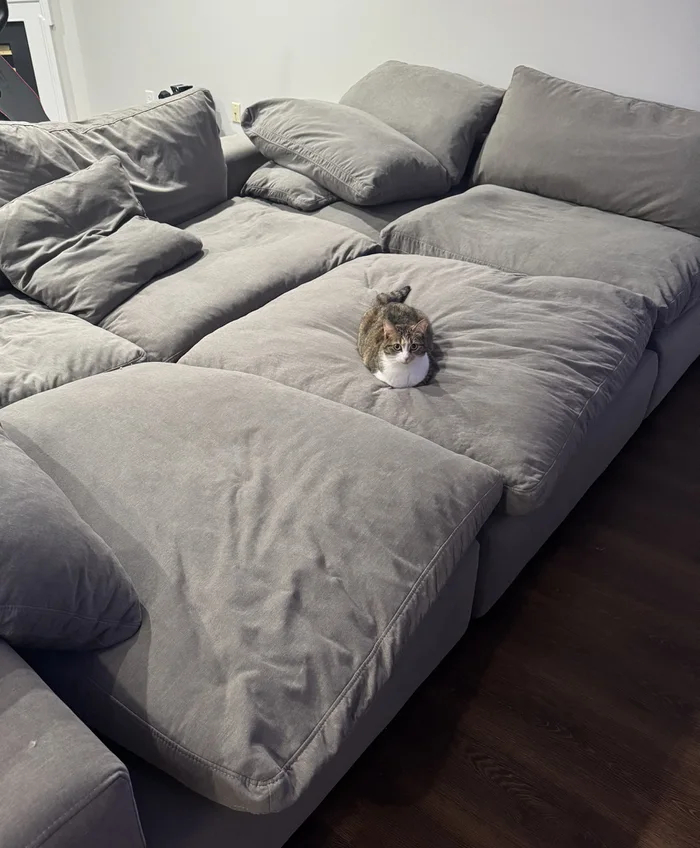 "������ ��� ��� �����. ��� ���� ����� �� ��������."