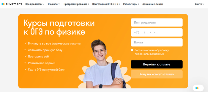 ТОП-30 лучших курсов по подготовке к ОГЭ