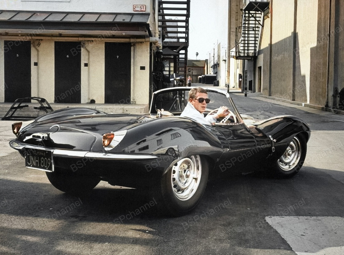 ��������: ���� �������