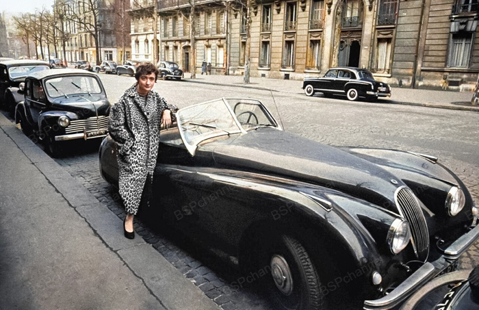 ��������: ����� ���-�����