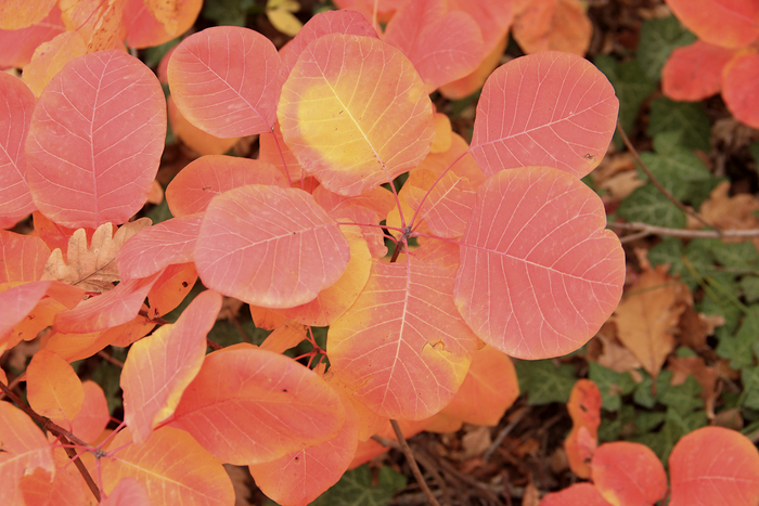 Фото М. Лучкина.