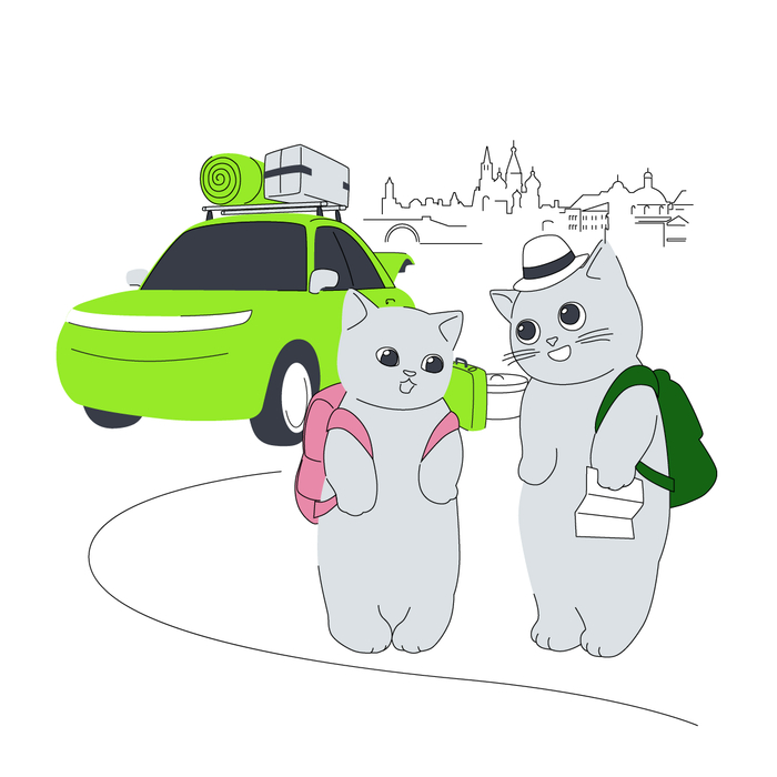 Когда путешествие превратилось из необходимости в удовольствие