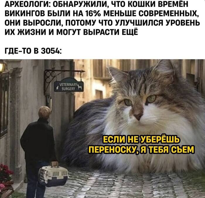 �������� �����