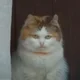 Аватар пользователя Martensya