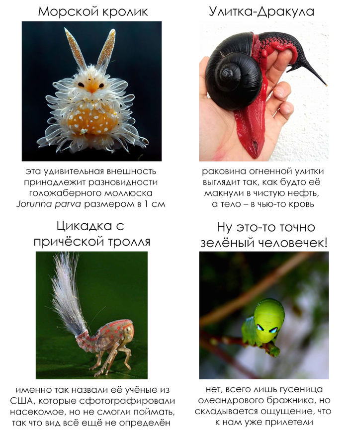 Школьные факты #57