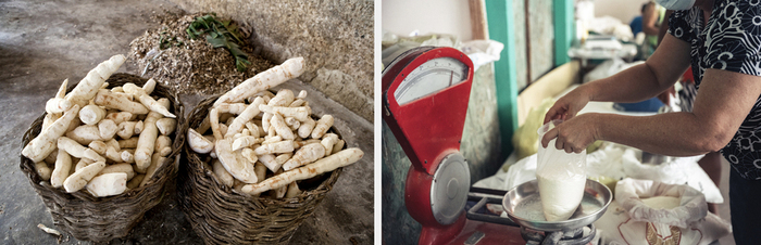 Клубни маниока и мука из него